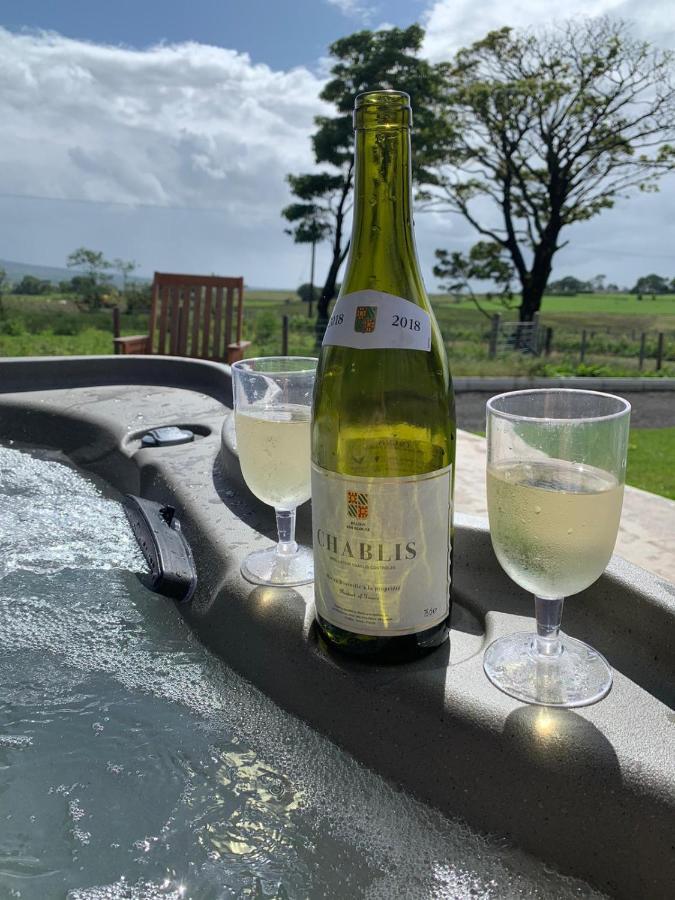 Deerfin Rentals Private Chalet With Hot Tub 巴利米纳 外观 照片