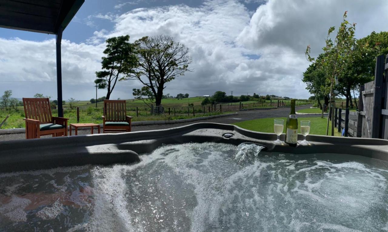 Deerfin Rentals Private Chalet With Hot Tub 巴利米纳 外观 照片