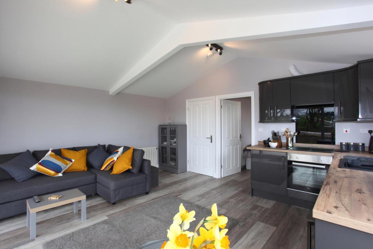 Deerfin Rentals Private Chalet With Hot Tub 巴利米纳 外观 照片