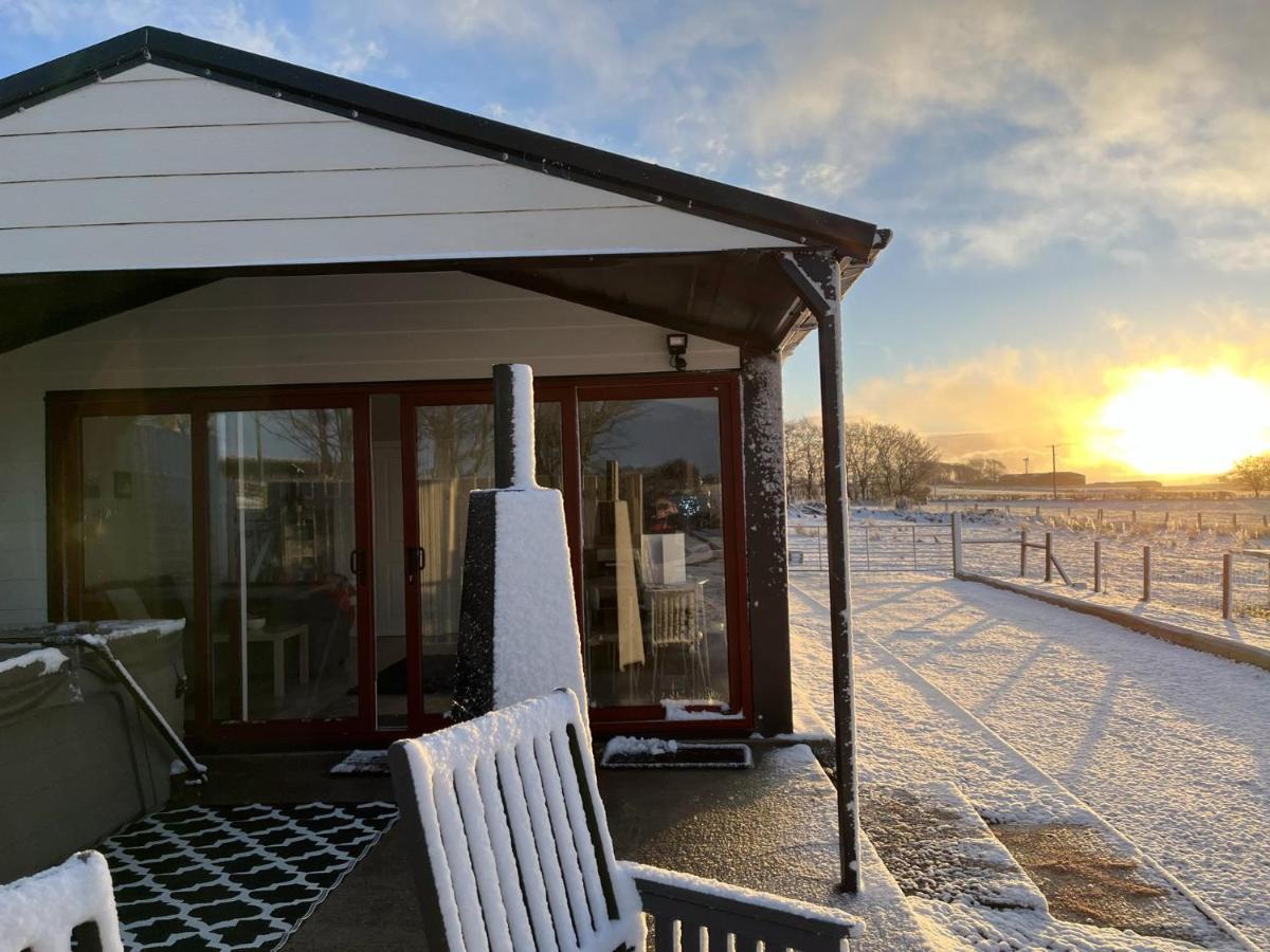 Deerfin Rentals Private Chalet With Hot Tub 巴利米纳 外观 照片